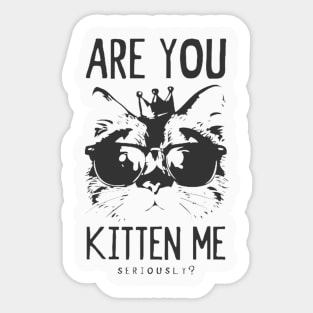 Are you Kitten Me? Sticker